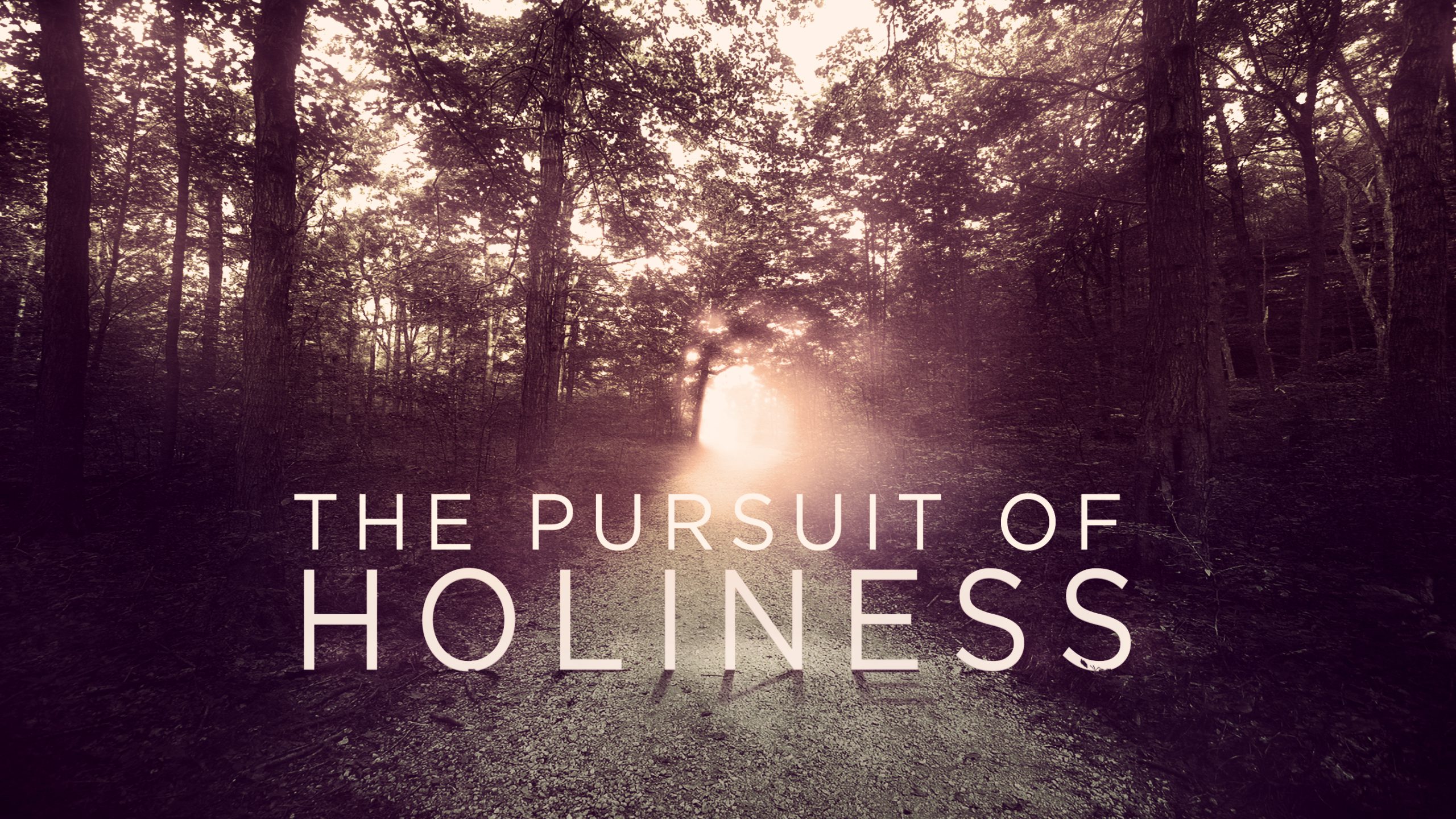 The Pursuit of Holiness - Holiness In Body