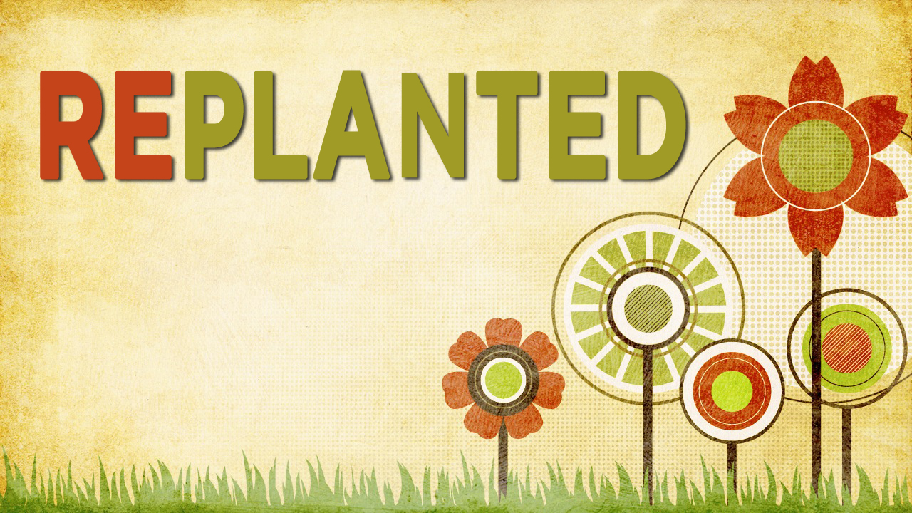 Replanted: Share Our Savior