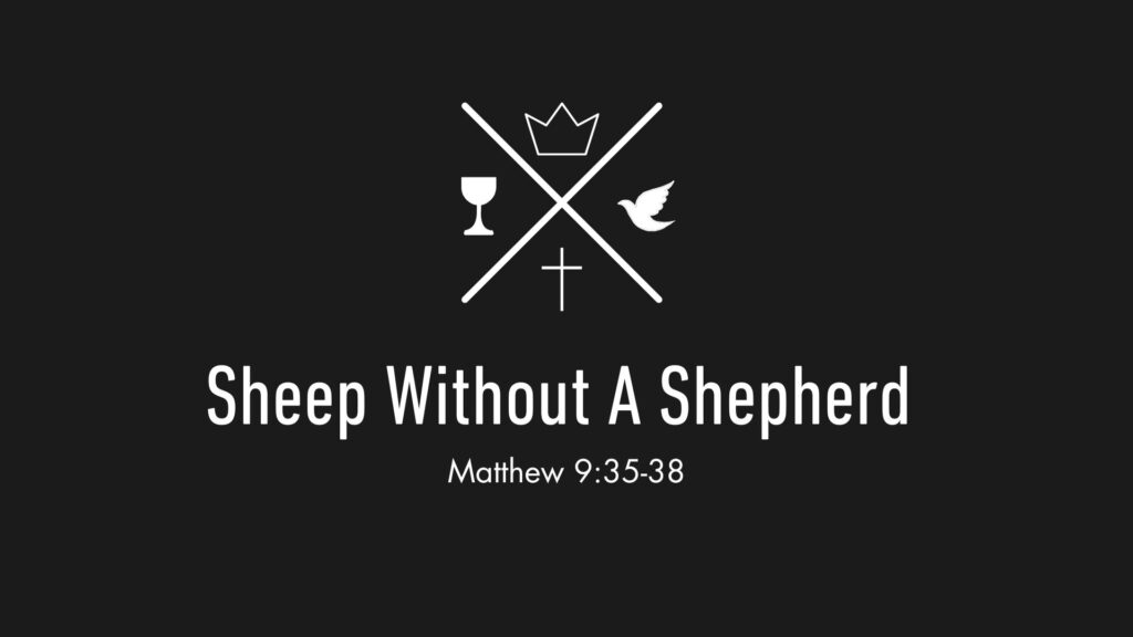 Sheep Without a Shepherd – Matthew 9:35-38